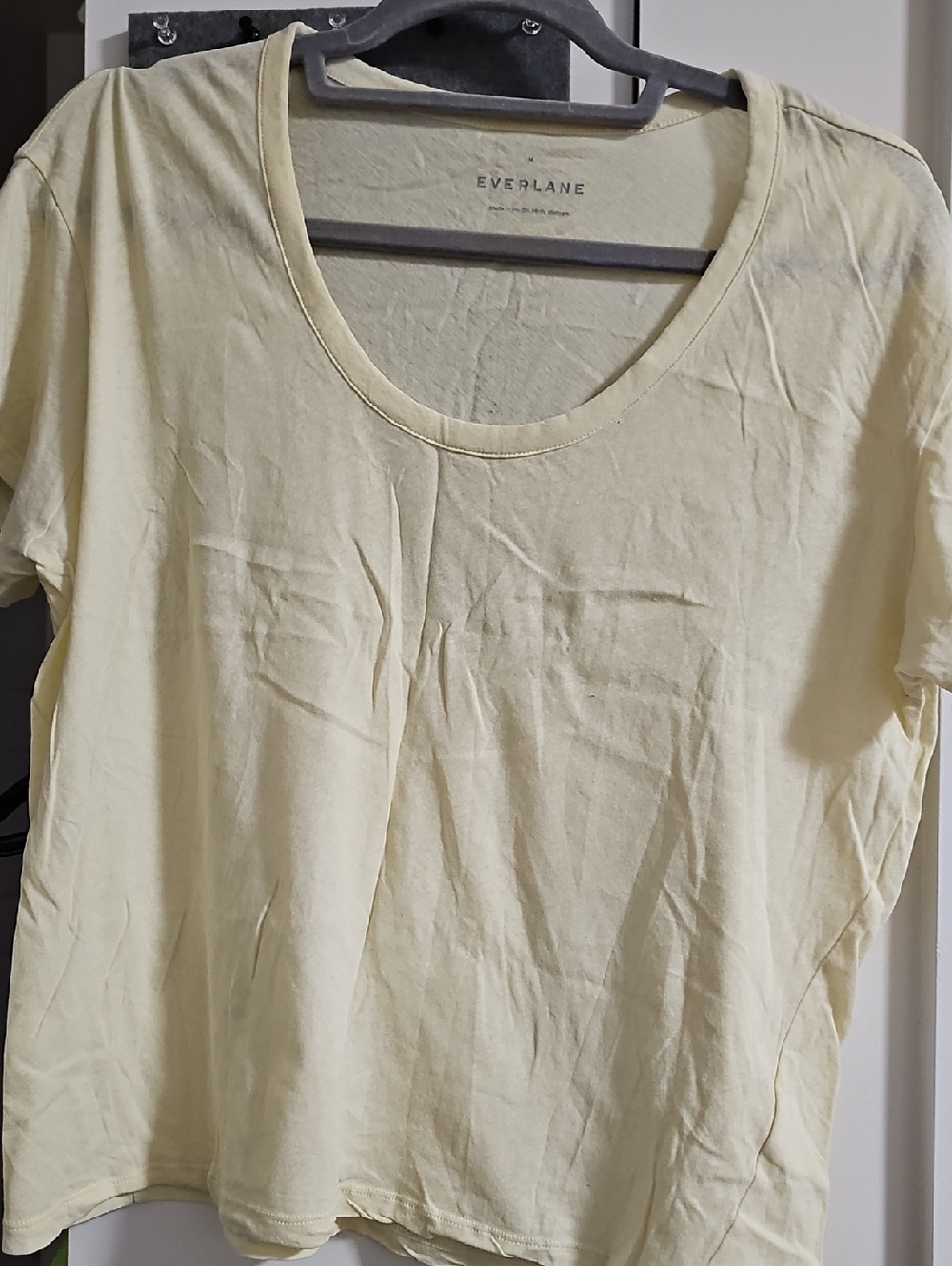 Everlane Short Sleeve Scoop Neck Tee in Pale Yellow